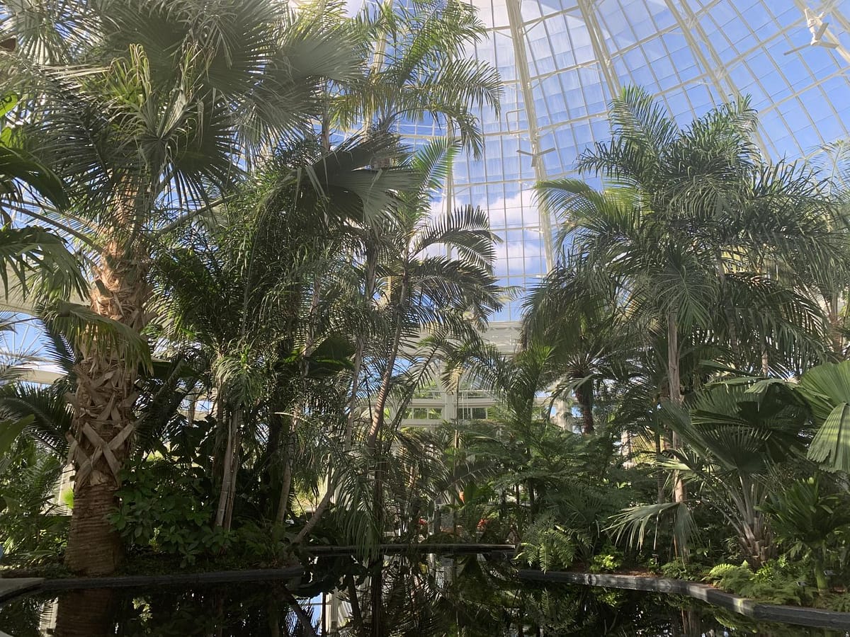 Enid A. Haupt Conservatory